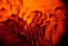 Suzan Köcher’s Suprafon Returns with Impressive «Seventeen»